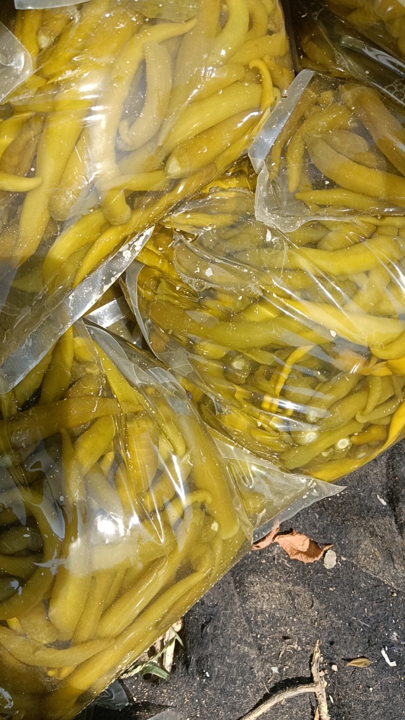 泡酱腌菜泡辣椒青辣椒厂家直发价格实惠欢迎老板联系