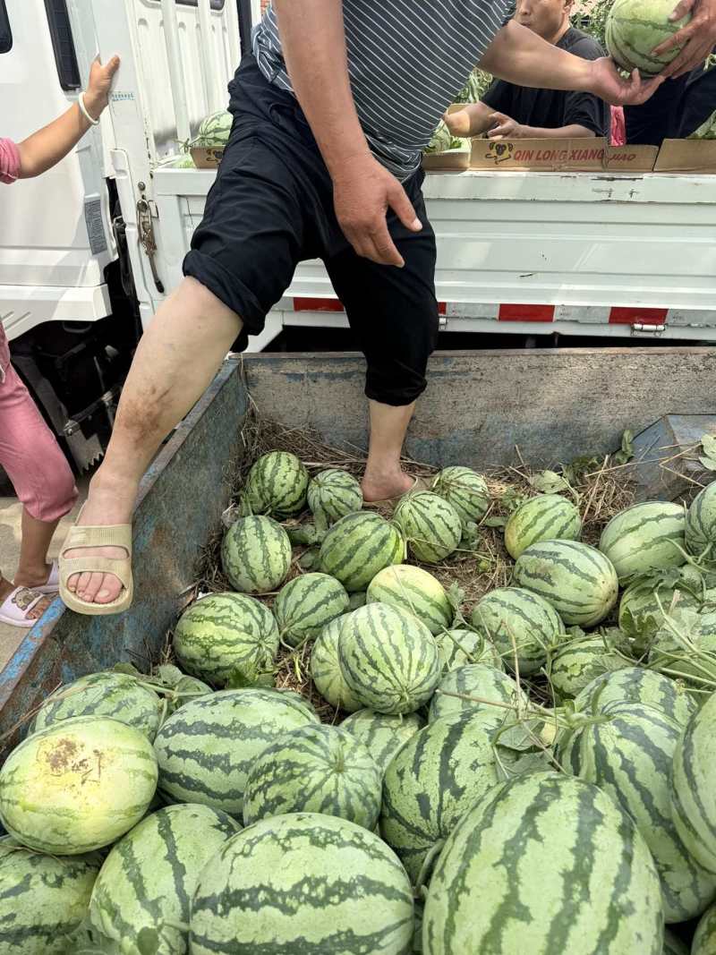 西瓜