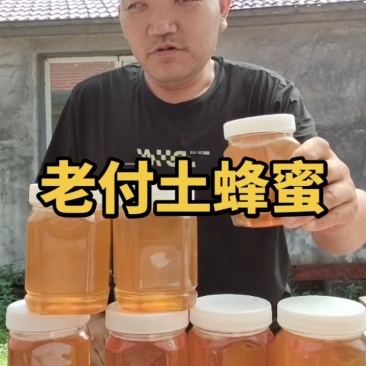 土蜂蜜