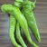 鲜辣椒