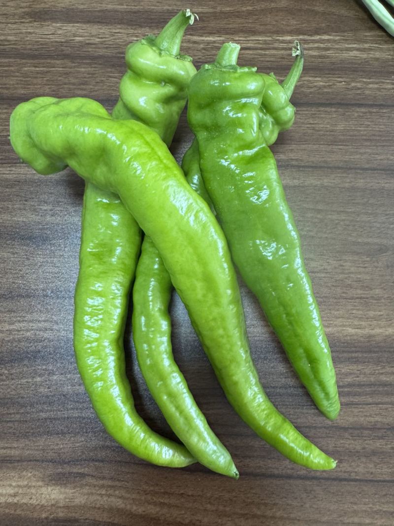 鲜辣椒