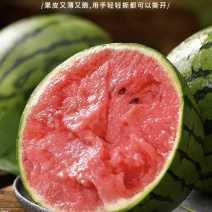小糖丸西瓜3-5斤/个，糖度13