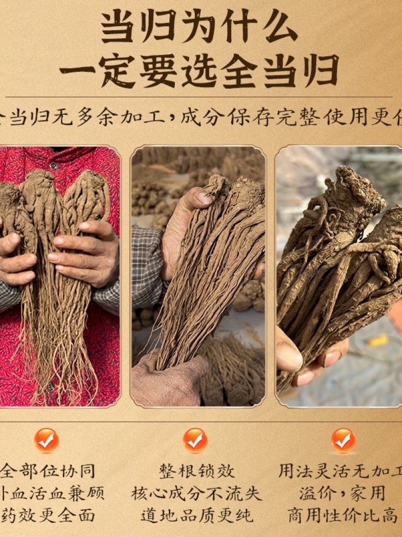 当归整根选装