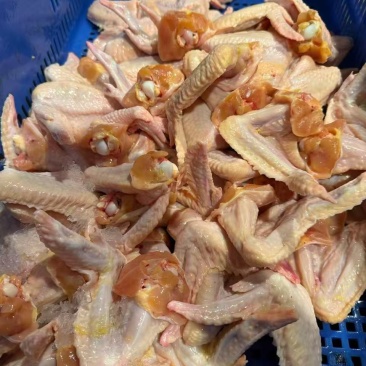 鸡翅鸡全翅