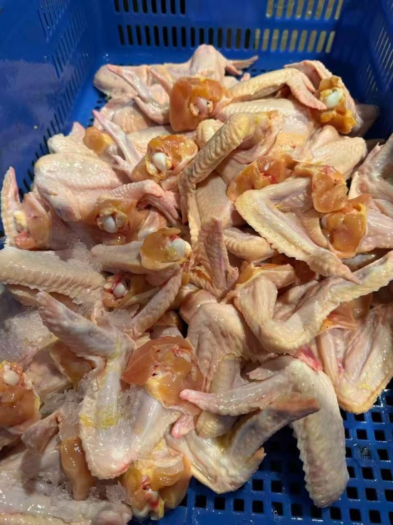 鸡翅鸡全翅