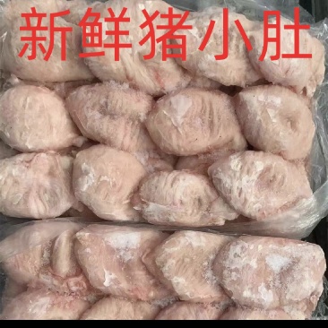 猪小肚