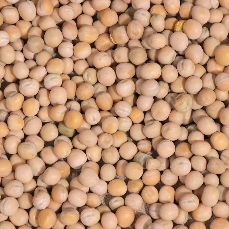 豌豆