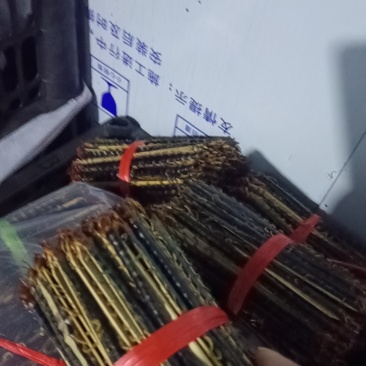 蜈蚣皮竹签货