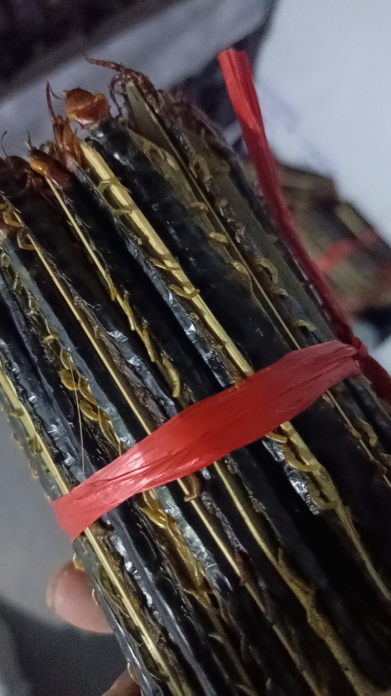 蜈蚣皮竹签货