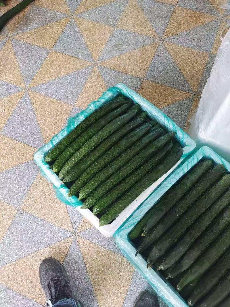 黄瓜