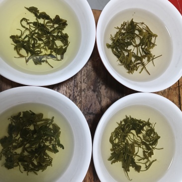 山绿茶散茶