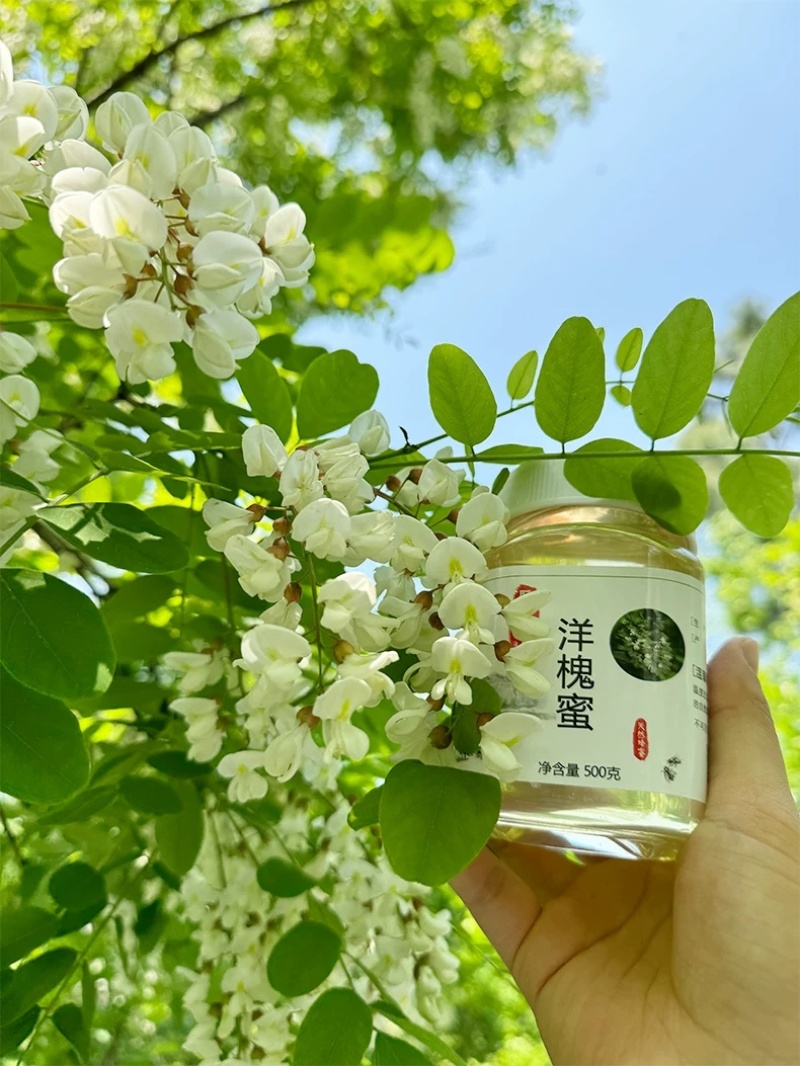 槐花蜜