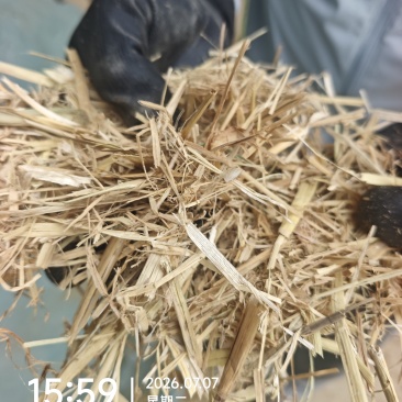 秸秆类原料秸秆类