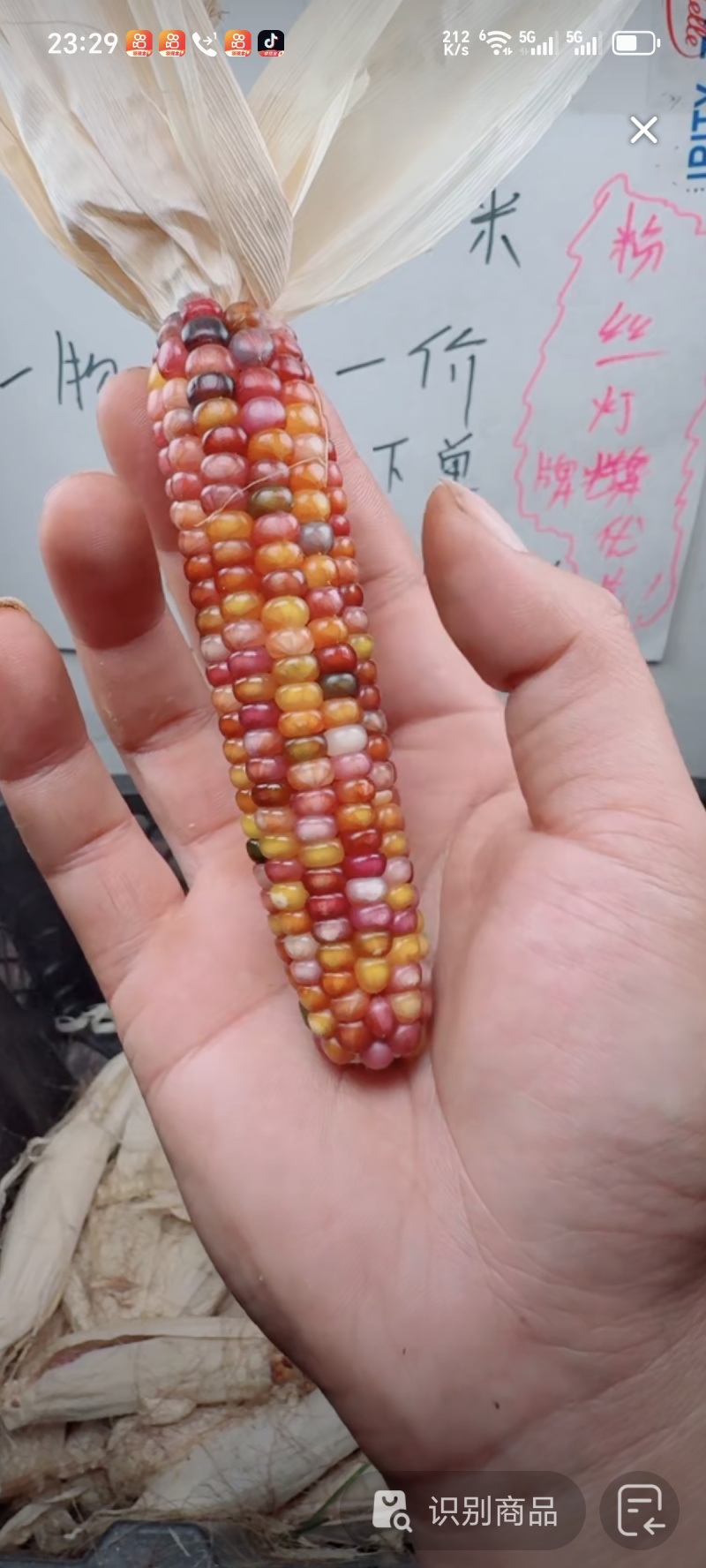 文玩玉米