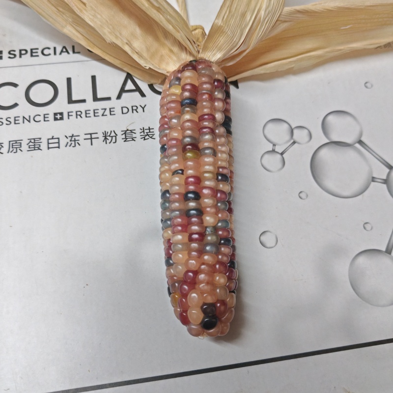 文玩玉米
