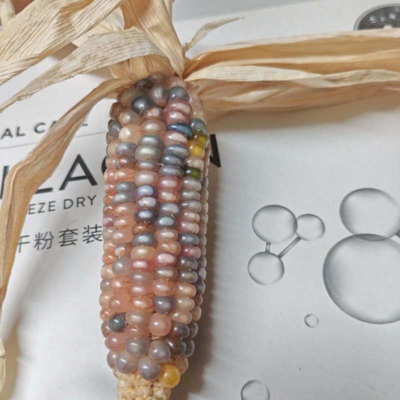 文玩玉米