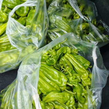 鲜辣椒