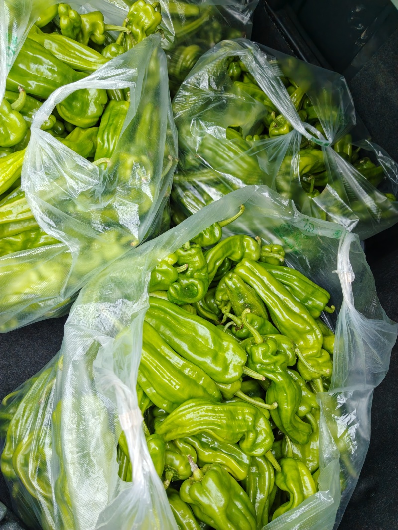 鲜辣椒