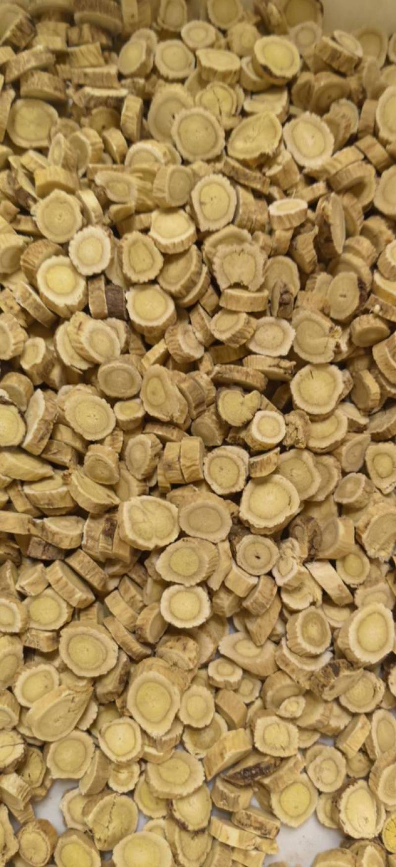 甘肃地道黄芪陇西县黄芪质量保证尽量以客户要唯主！！