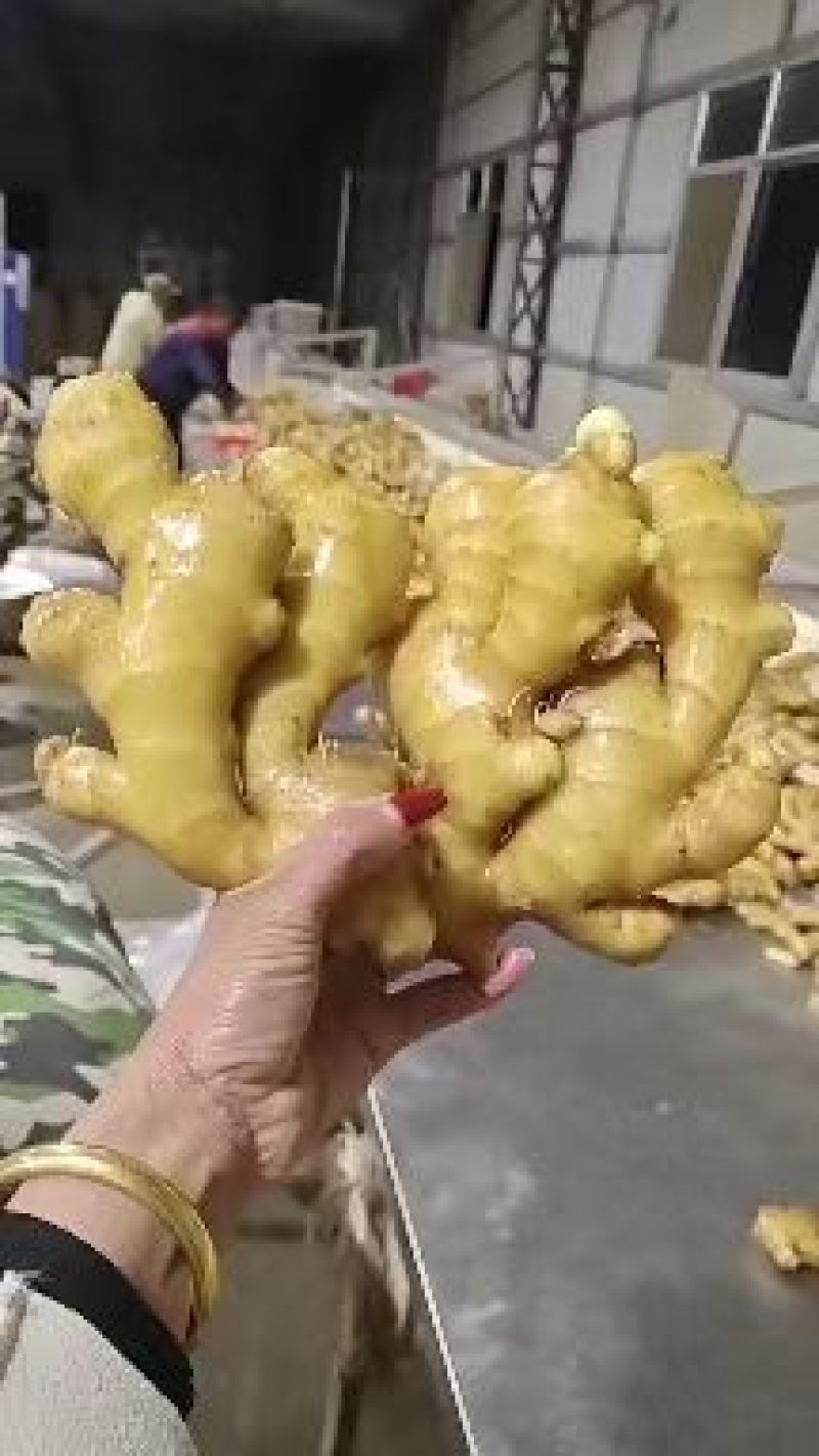 生姜