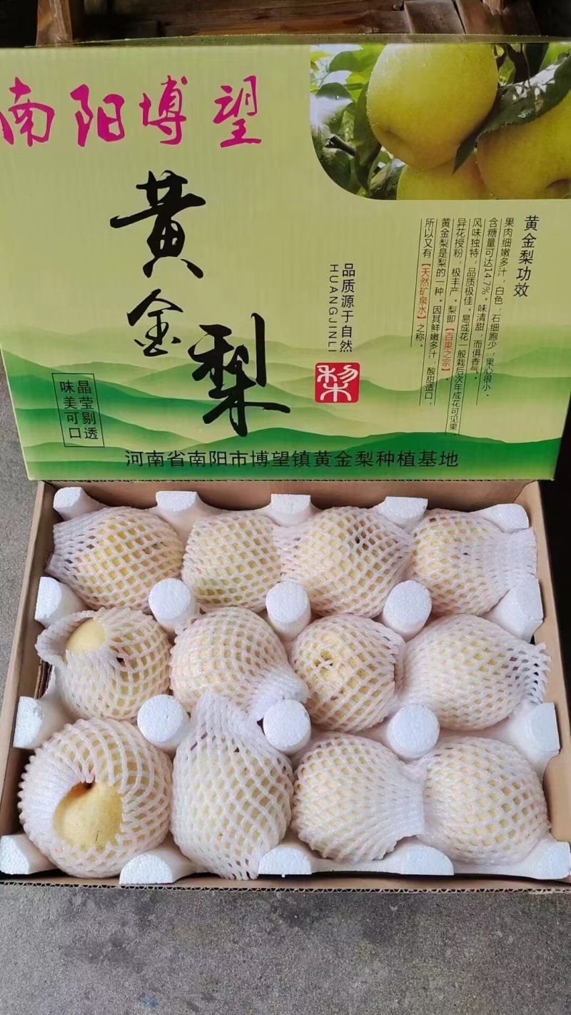 黄金梨单果6-9两，一箱10-20斤