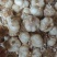 大蒜白皮蒜