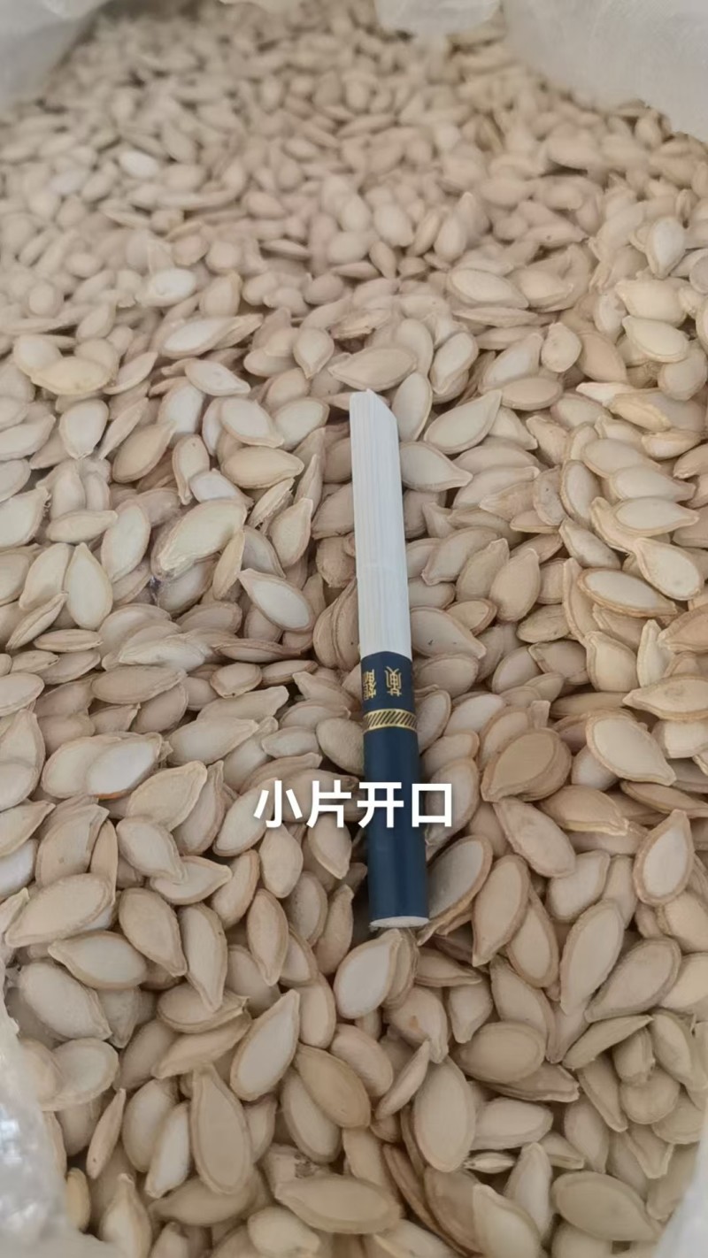 瓜子
