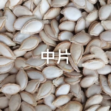 瓜子