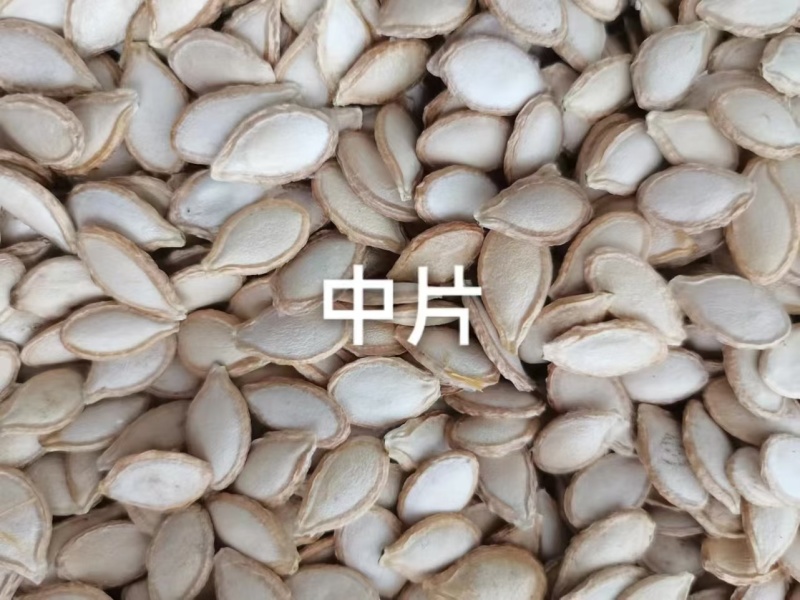瓜子