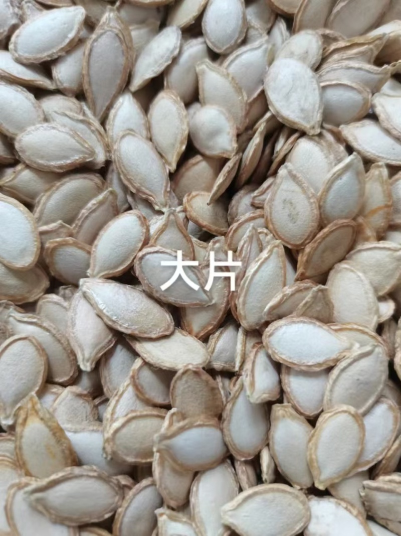 瓜子
