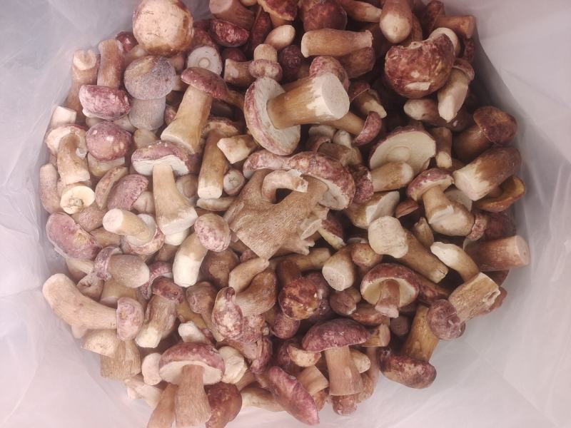 牛肝菌精选