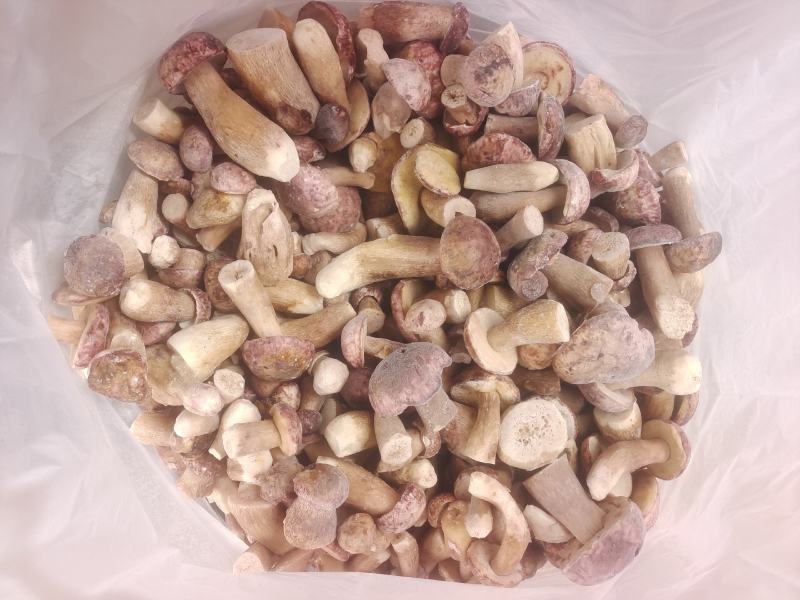 牛肝菌精选
