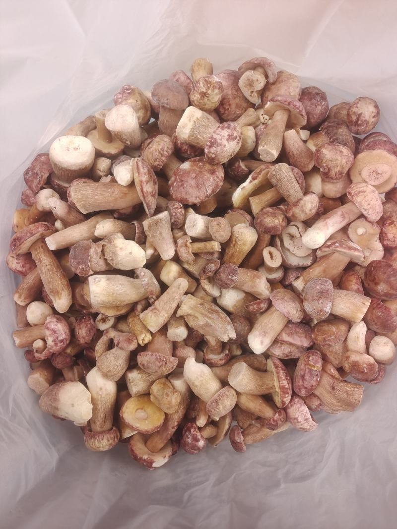 牛肝菌精选