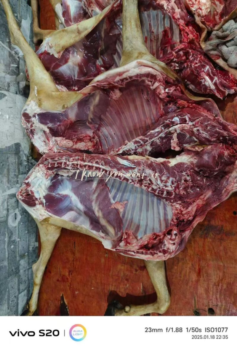 羊肉