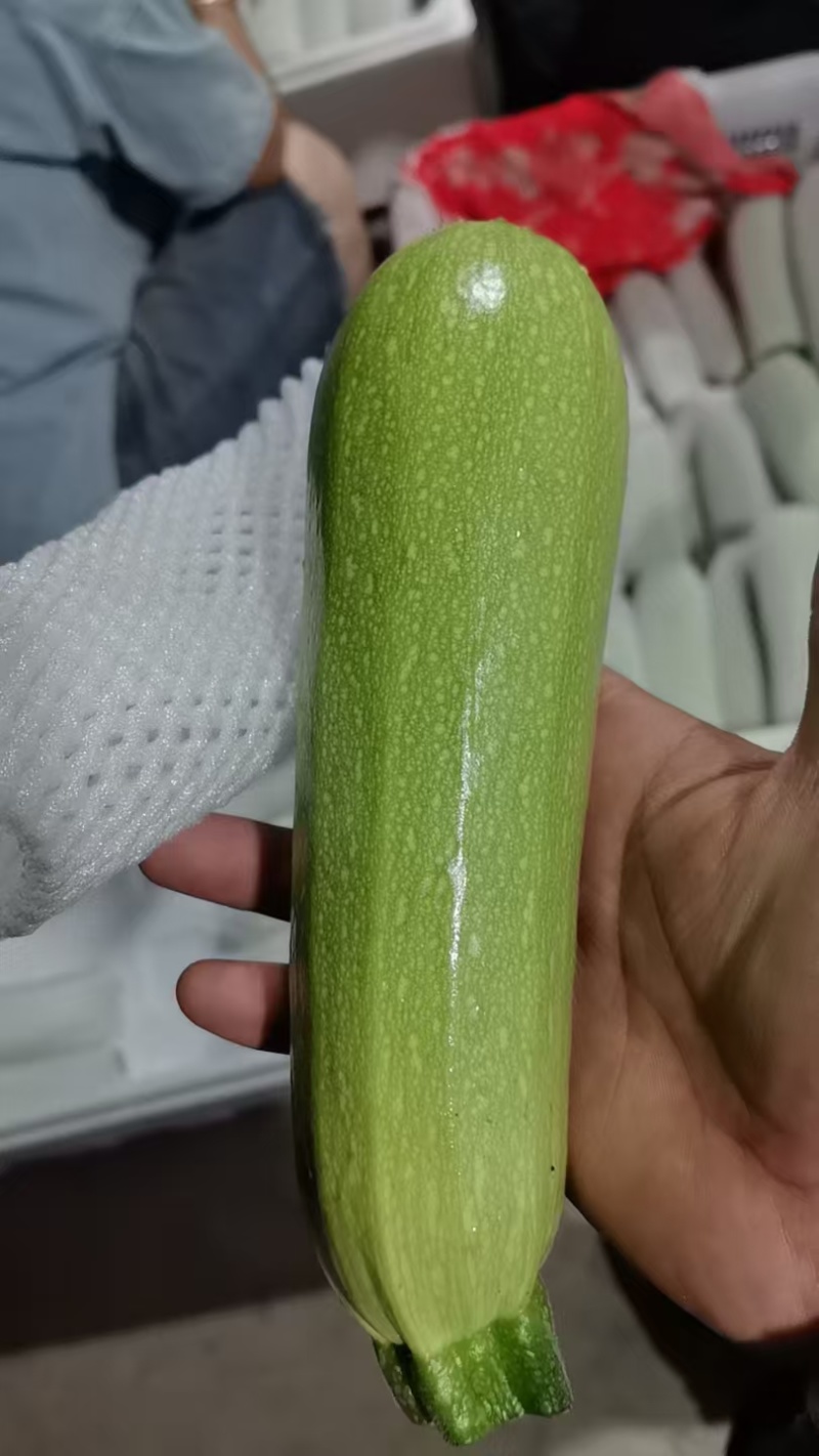 西葫芦