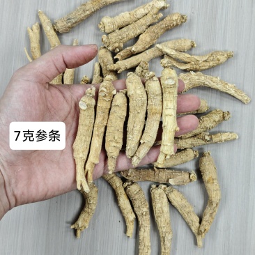 西洋参西洋参条，每根2.5g下140元/公斤，3g/17