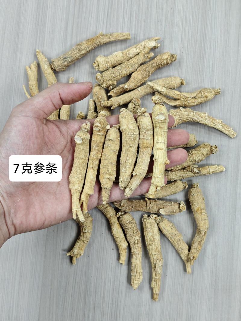 西洋参西洋参条，每根2.5g下140元/公斤，3g/17