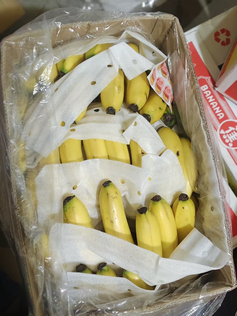 甘肃兰州精品香蕉一件代发货源充足量大价优欢迎随时联系