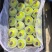 华硕苹果华硕青苹果