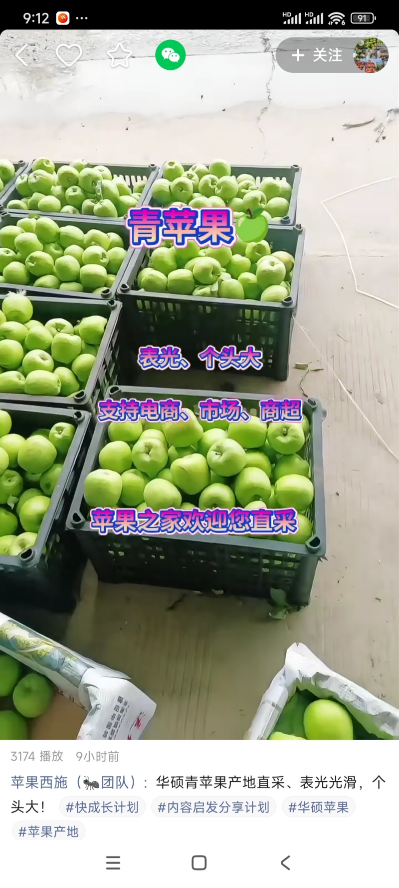华硕苹果华硕青苹果
