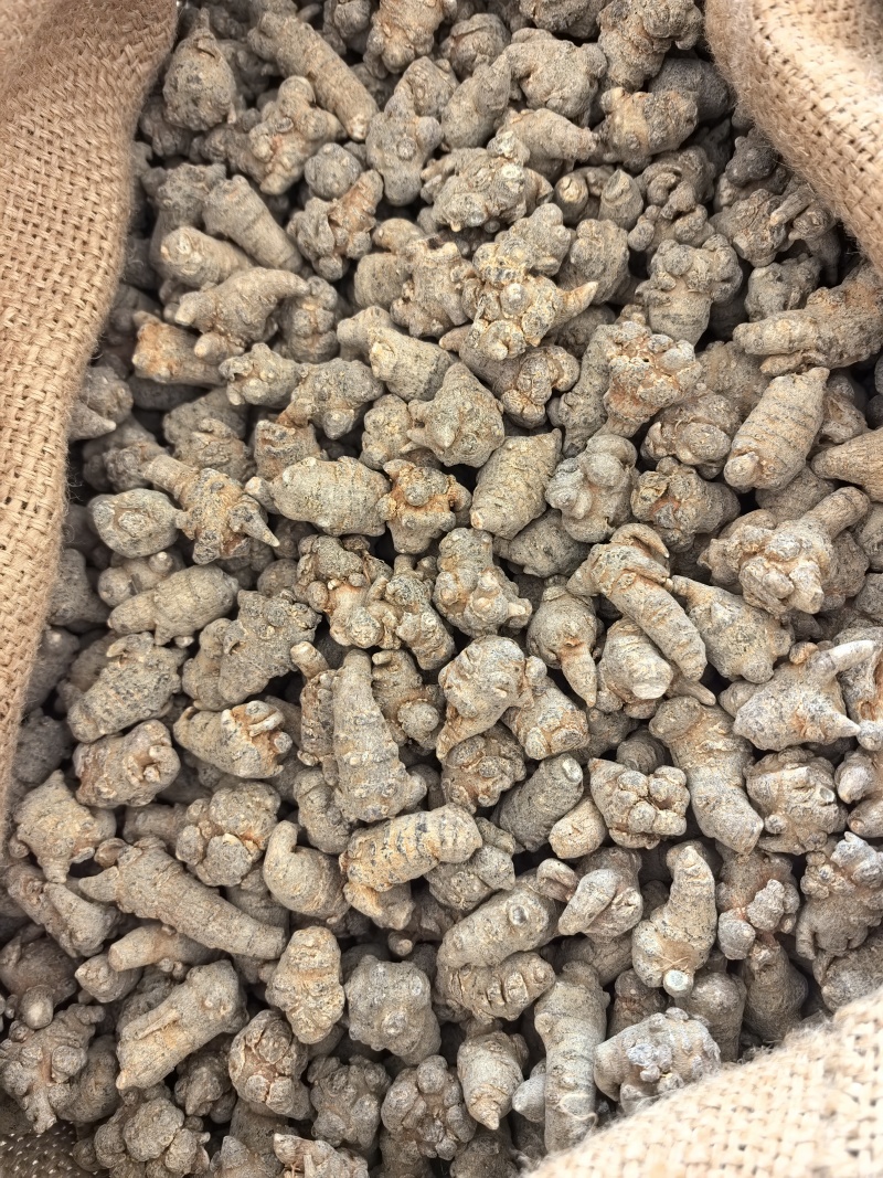三七20头/30头/40头/60头