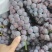 夏黑葡萄果粒10克起步，糖度13度