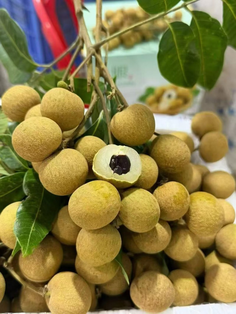 龙眼蓝标统货