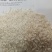 大米珍珠米、粳米、糯米、香米、丰两优米、杂交米