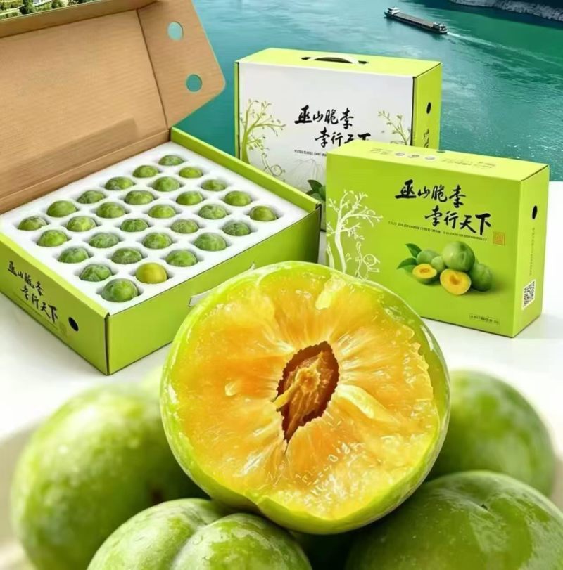 青脆李子大果