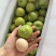 青脆李子大果