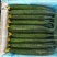 黄瓜精品黄瓜5-7两，泡沫箱包装，发货价1.66元/斤；