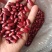 芸豆红芸豆长粒红豆食品八宝粥原料红芸豆