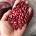 芸豆红芸豆长粒红豆食品八宝粥原料红芸豆