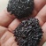 野生菌